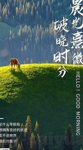 九游会游戏app-九游会游戏APP，开启数字娱乐新篇章