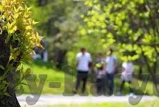 世界杯赔率 哥伦比亚vs日本-世界杯赔率，哥伦比亚对阵日本的较量